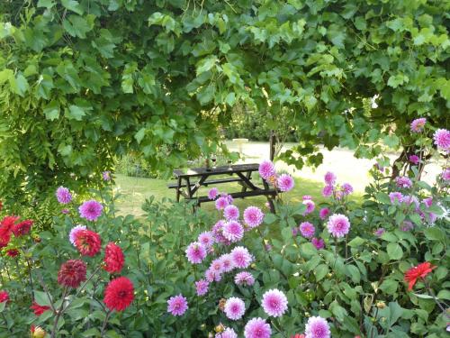 a bench sitting in the middle of a garden with flowers at The Mount Somerton Retreat - Nr Bruton, Glastonbury, The spectacular Wells Cathedral, Millfield School, Leonardo Helicopters, Yeovilton in Somerton