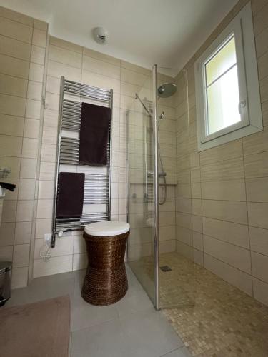 a bathroom with a shower and a toilet and a window at Chambre villa du sentier in Pomponne