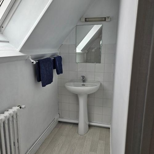 a bathroom with a sink and a mirror at Gîtes de la terrette in Tribehou