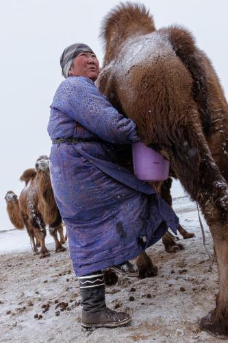 a woman is hugging a camel on the beach at Gobi-Girl in Ulaanbaatar