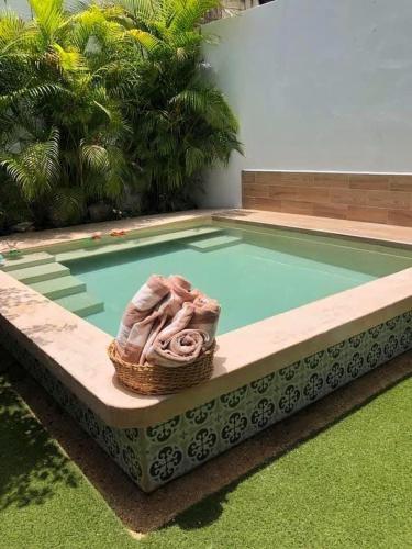 a swimming pool with a basket in the middle of it at Casa Amikoo in Mérida