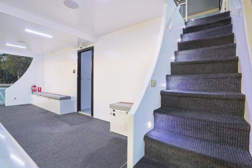 a staircase in a house with a purple carpet at All Seasons Houseboats in Mildura