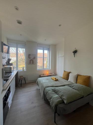 une chambre avec un grand lit dans une pièce dans l'établissement Le Rivage - Gare, Wifi, Parking, TV, à Douai