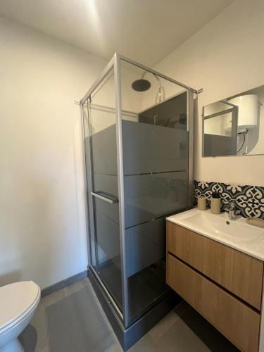 une salle de bain avec une douche en verre et des toilettes dans l'établissement Le Rivage - Gare, Wifi, Parking, TV, à Douai
