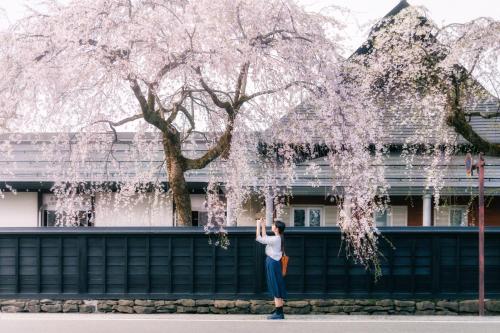 a woman standing in front of a flowering tree at KAMENOI HOTEL Tazawako in Senboku