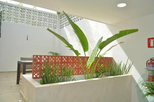 Gambar di galeri bagi Hotel Balam Puerto di Ciudad del Carmen