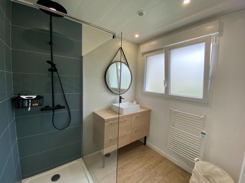 une salle de bain avec une douche, un lavabo et un miroir dans l'établissement Holiday Home in France with Sea View Terrace, à Saint-Gildas-de-Rhuys