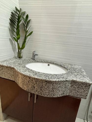 a bathroom sink with a potted plant on it at Heritage Haven Guesthouse in Vigan