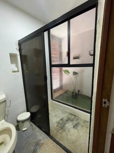 a bathroom with a toilet and a glass shower door at Casa colibrí in Río Lagartos