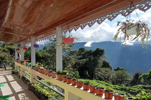 a porch with potted plants and a view of the mountains at Sona Homestay by StayApart in Ghum