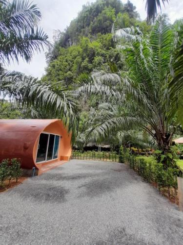 En have udenfor Khao Sok Saengtawan Resort And Camp