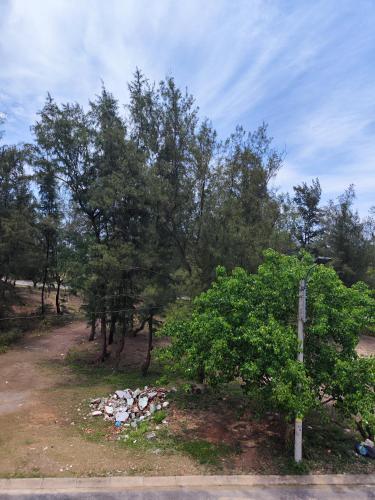 a group of trees and a pile of trash at View Nhat Le Beach Hotel in Dong Hoi