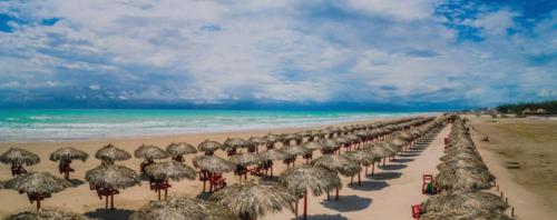a row of straw umbrellas on a beach with the ocean at Casa Marina Miramar in Ciudad Madero