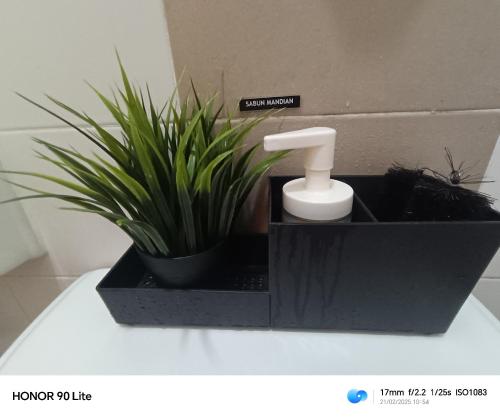 a black planter with a sink and a plant at IRDINA HOMESTAY forMuslims - Changlun in Changlun