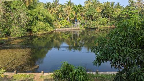 a river in the middle of a forest at Lake view nest in Tangalle