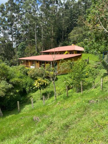 a house sitting on top of a lush green hill at Ecoresort Gran Azul in Salento
