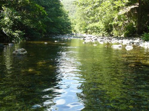 une rivière avec des rochers dans l'eau et des arbres dans l'établissement La Grenouille, à Valleraugue