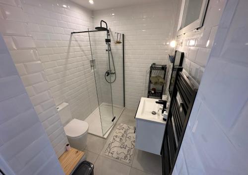 a bathroom with a shower and a toilet and a sink at Le Studio Terracotta - Central & Lumineux in Palavas-les-Flots