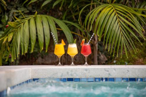 Nápoje v ubytování Coral Reef Villas - luxury 5 star villas each with private pool, Watamu