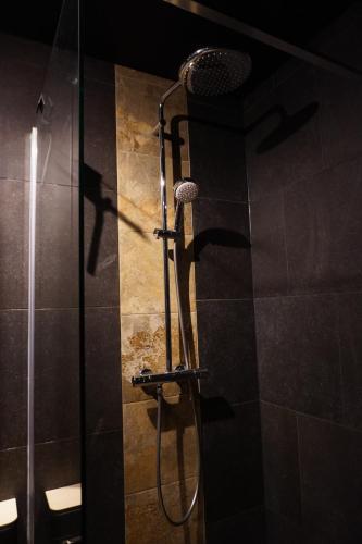 a shower in a bathroom with a shower head at Spa&Chill in Seraing