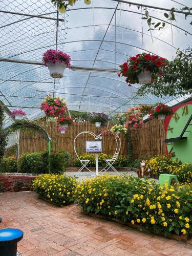 a greenhouse filled with lots of different types of flowers at Glamz Hills in Cameron Highlands