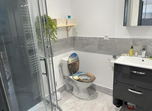 une salle de bain avec toilettes et douche en verre dans l'établissement Studio sur le port B, à La Grande Motte
