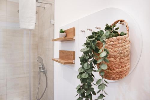 1 BDR - Apartment Exclusive, right near Vienna's Old City