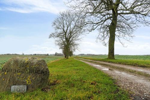 a dirt road in the middle of a field with trees at Countryside Property With Great Fishing Options in Holbæk