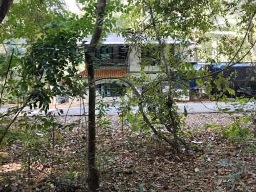 a tree with a building in the middle of a street at Creekshore Home Stay in Kallar-Bridge