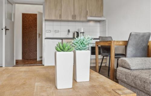 Amazing Apartment In Anklamにあるキッチンまたは簡易キッチン