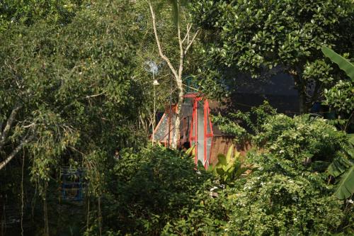a red object in the midst of trees at mehome in Cư Chinh