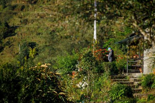 a person walking down a set of stairs with flowers at Prakriti Resort and Organic Farm Pvt. Ltd. in Burhānilkantha