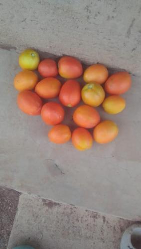 a pile of oranges and lemons on a table at Amboseli Amanya Lodge in Amboseli