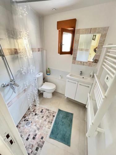 une salle de bain avec une douche, des toilettes et un lavabo dans l'établissement Le Jardinet - Small garden in town, à Montpellier