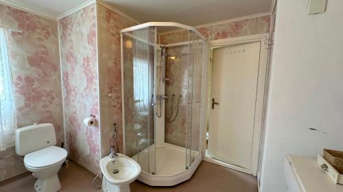 a bathroom with a shower and a toilet and a sink at Nonstinden View Lofoten in Ballstad