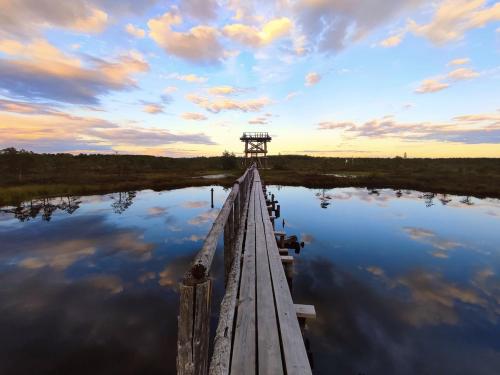 a dock on a river with a cloudy sky at Serene Holiday Home next to Nature Reserve in Kärde