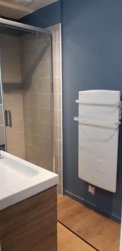 Un baño con ducha y lavabo blanco. en Gîte Saint Benoît sur Loire Val de Sully, en Saint-Benoît-sur-Loire