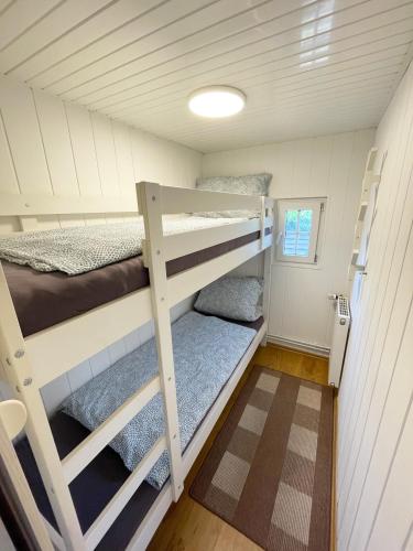 a bedroom with bunk beds in a tiny house at Ferienhaus Jonny in Sassenberg