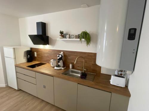 a small kitchen with a sink and a mixer at Cassandre in Montoire-sur-le-Loir