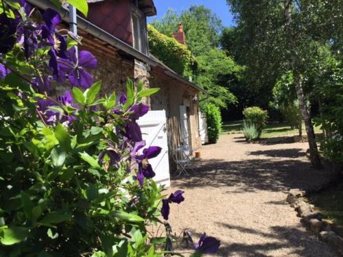 Zahrada ubytování Scenic Cottage