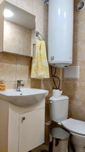 a bathroom with a sink and a toilet and a mirror at Апартамент Калоян in Banya