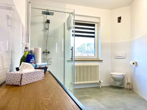 a bathroom with a shower and a toilet at Gästehaus Bayreuth in Bayreuth