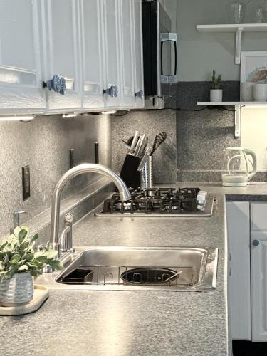 a kitchen counter with a sink and a stove at The Underwood-Hale House in Providence