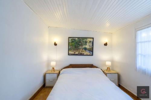 une chambre avec un grand lit avec deux tables de nuit dans l'établissement Biscarrosse Lac - A deux pas du lac maison avec jardin pour 6 personnes, à Biscarrosse