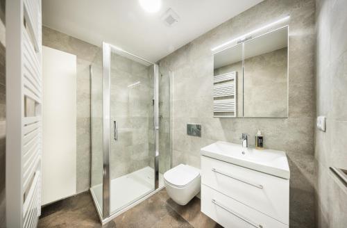a bathroom with a toilet sink and a shower at Residence Riverside in Pec pod Sněžkou