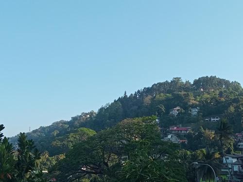 Γενική θέα στο βουνό ή θέα στο βουνό από  αυτό το δωμάτιο σε οικογενειακή κατοικία