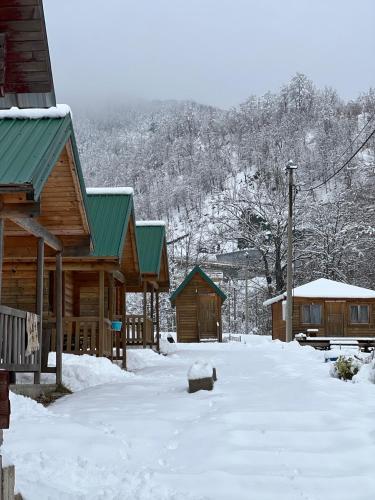 Gallery image of Matesevo guest hauses in Kolašin
