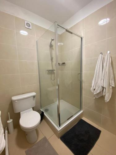 a bathroom with a toilet and a glass shower at Butlers (St Ivers House) in Broadway