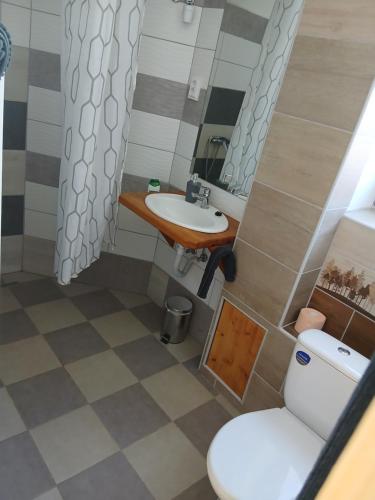 a bathroom with a toilet and a sink at ToronySzoba in Szob