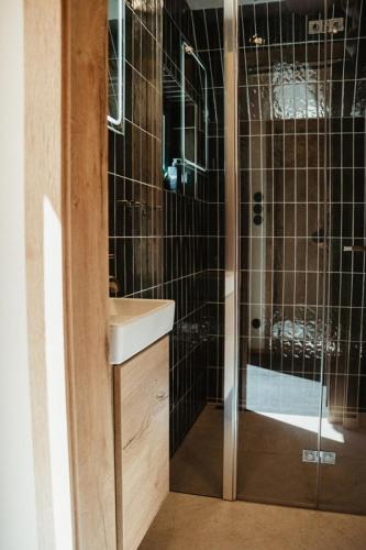 a bathroom with a shower with a sink and a toilet at Hotel Kouty - Lesní Apartmány in Ledeč nad Sázavou